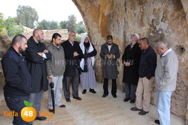 wafd taso jasdh3u2 (8).JPG